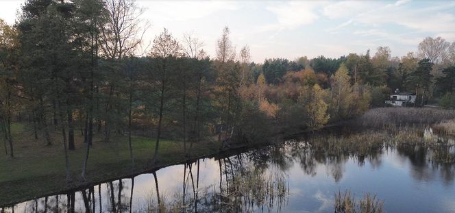 Idealne miejsce na jesienny spacer w Śląskiem - Kamień 