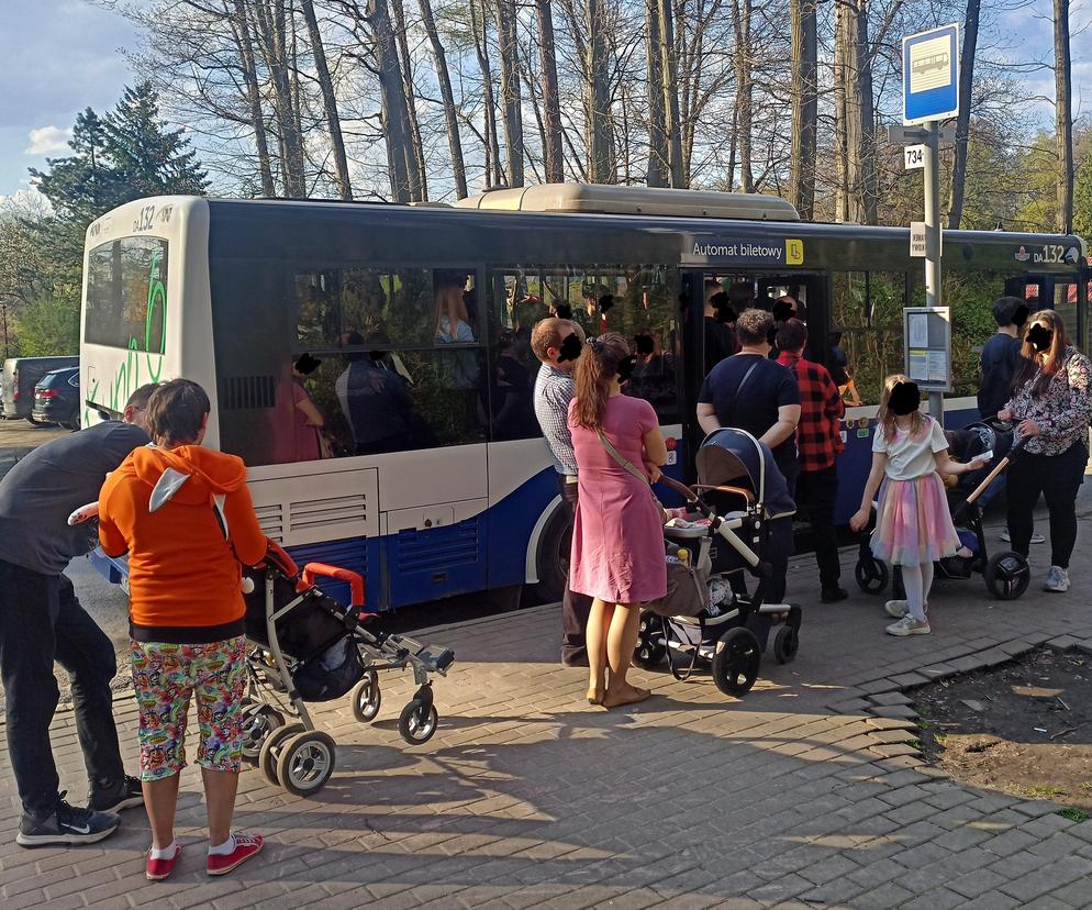  Autobusy do ZOO nie były w stanie pomieścić pasażerów. Dziesiątki osób zostawały na przystankach.