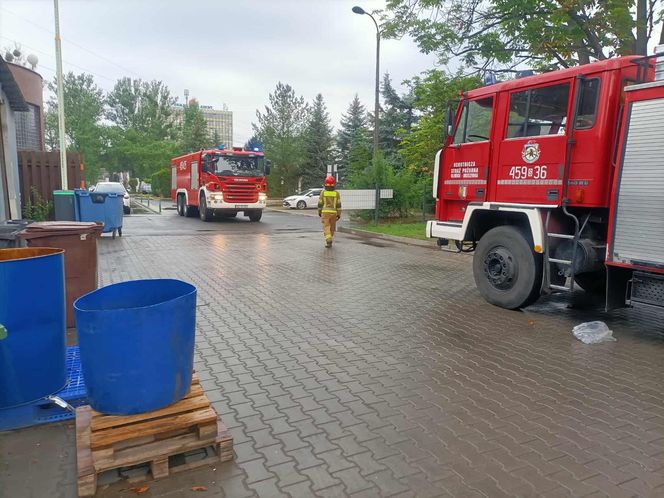 Wielki pożar hali w Gliwicach! Chmura dymu nad miastem