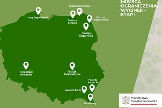 Zakaz wycinania drzew w lasach pod Wrocławiem. Nowa ministra Klimatu i Środowiska zdecydowała