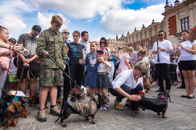 Kraków: Marsz Jaminików 2018. Zobaczcie najlepsze przebrania! [ZDJĘCIA]