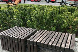 Uszkodzenia na Placu Jagiellońskim