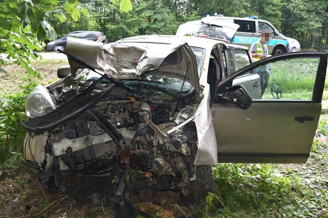 Nissan zjechał z drogi krajowej nr 17 i uderzył w drzewo