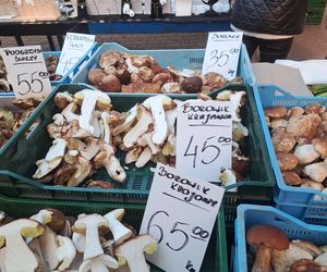 Ceny grzybów na Nowym i Starym Kleparzu w Krakowie