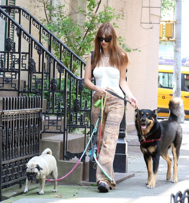 Te psy skradły serca gwiazd! 