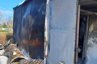 Tragiczny finał pożaru w Toruniu. Ogień pojawił się niespodziewanie, zginął piesek