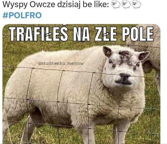 Memy przed meczem Polska - Wyspy Owcze