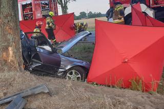 Śmiertelny wypadek pod Zgierzem. Dwóch mężczyzn zginęło w roztrzaskanym BMW. Policja szuka świadków 