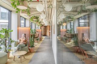 Nowe biuro Lipton projektu Workplace