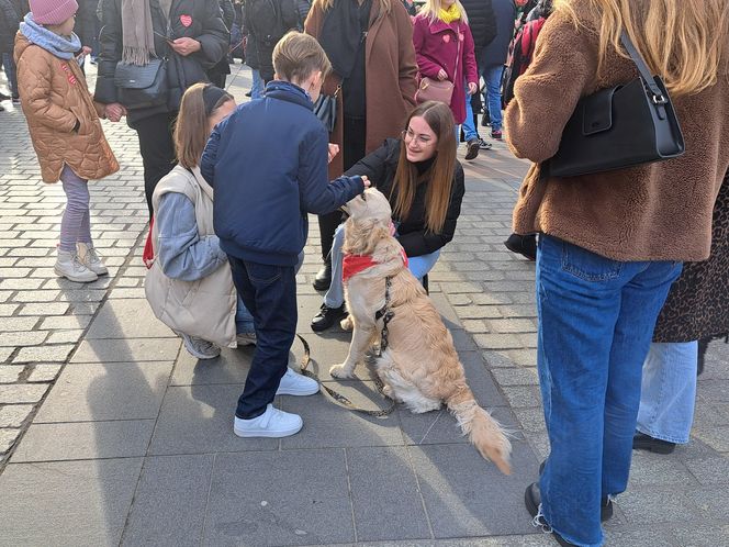 33. Finał WOŚP z grupą krakowskich Golden Retrieverów