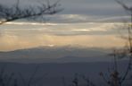 To jedyna taka willa w Krakowie. Znajduje się w lesie, widać z niej nawet Tatry