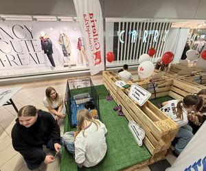 Akcja adopcyjna Fundacji Dobre Ludki w Grudziądzu