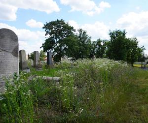 Zabytkowy cmentarz żydowski z XIX wieku w Białymstoku. Ostatnia taka ocalała nekropolia w mieście