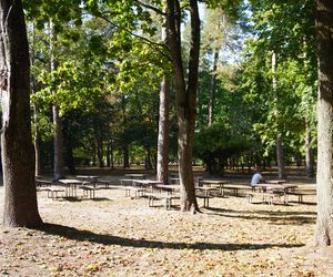 Park Konstytucji 3 Maja