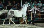 Porażka Pride of Poland 2024? Zyski są zdecydowanie niższe niż rok temu