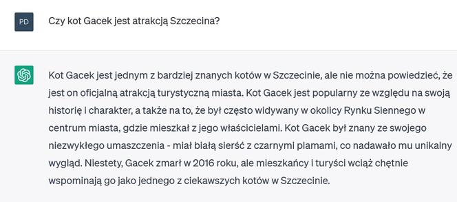 Chat GPT o Szczecinie 