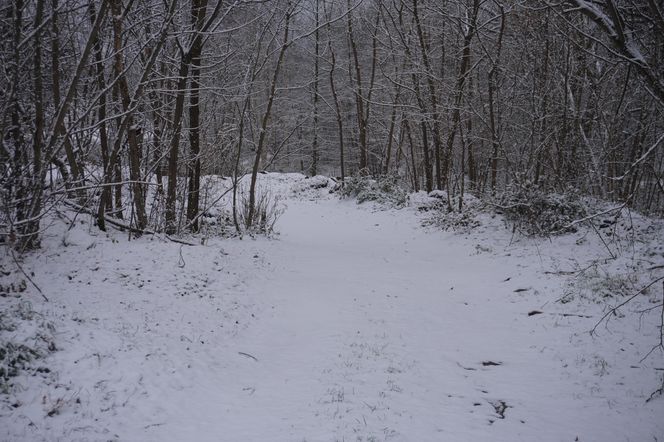 Zima w Świętokrzyskiem. Skarżysko-Kamienna (22.11.2024)