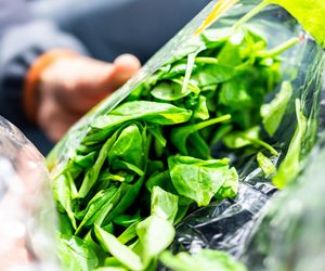 Odpowiednio zamrożony jest przyjacielem serca, wątroby i jelit. Nie żałuj sobie cały rok 