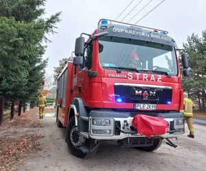 Duże straty po pożarze na Ranczo Smyczyna. „Mamy szereg umów z naszymi gośćmi i zamierzamy się z nich wywiązać”