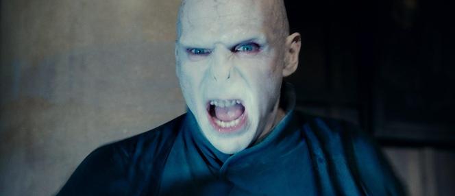 Lord Voldemort był największym wrogiem Harrego Pottera 