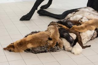 Dwumetrowa rzeźba lisa zwraca uwagę na problem hodowli zwierząt na futro.