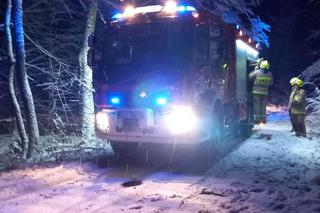 Atak zimy w warmińsko-mazurskim. W Olsztynie drzewo przewróciło się na trzy auta