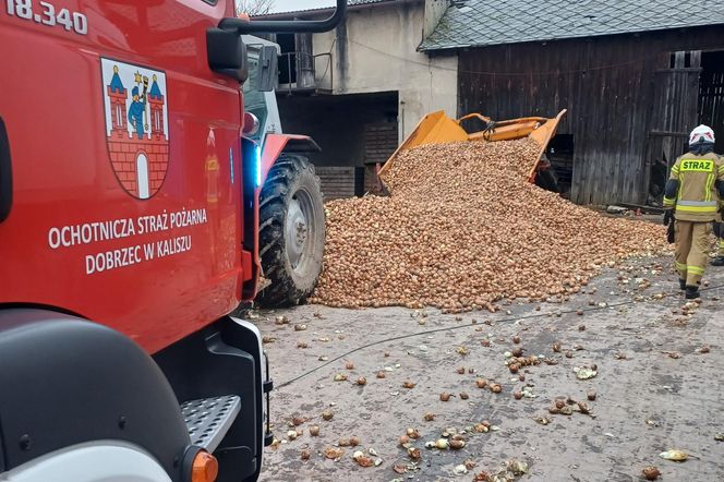 Był przyciśnięty od pasa w dół do ściany