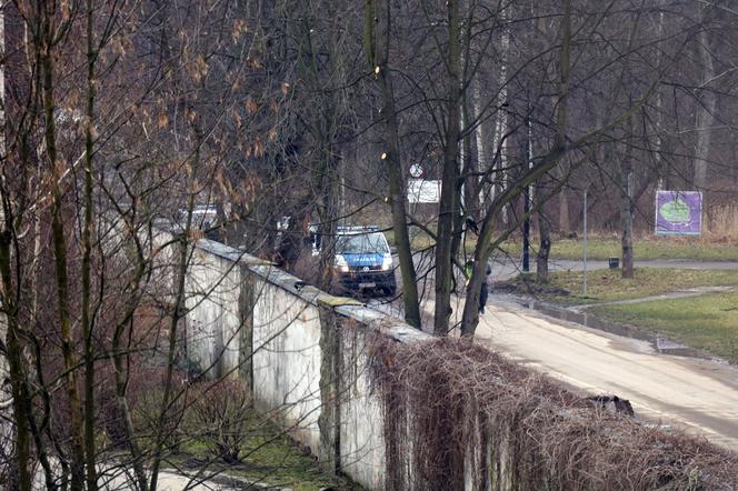 Ucieczka pantery śnieżnej z zoo w Chorzowie. Zdjęcia z akcji poszukiwawczej