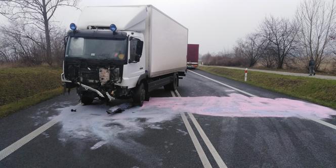 Horror na drodze niedaleko Torunia. Apel do świadków!