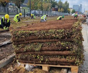 Budowa linii tramwajowej na ul. Kasprzaka w Warszawie