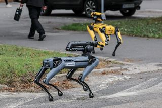 Ma cztery łapy, stalowe serce i właśnie podał łapę policjantowi. „Robopies” nowym hitem w służbach
