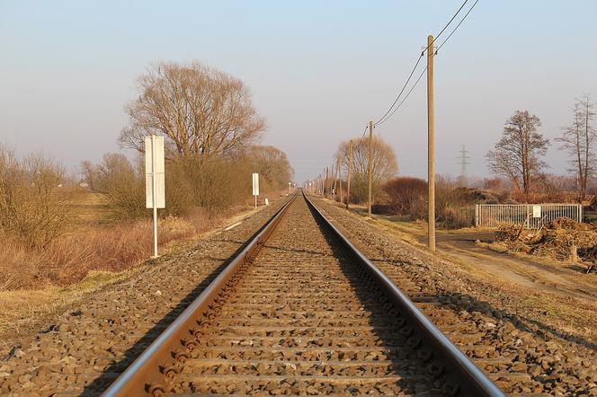 Złoty pociąg naprawdę istnieje! PKP Intercity postanowiło… wypuścić go na tory