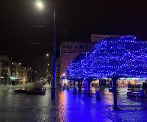 Świąteczny blask w Gorzowie Wielkopolskim