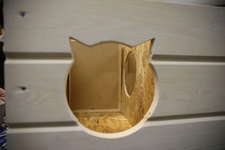 Osoby z niepełnosprawnościami z Rybnika wykonały domki dla bezdomnych kotów