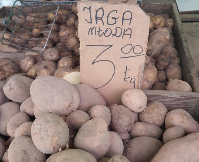 Kilo ziemniaków to wydatek nawet 3-4 zł