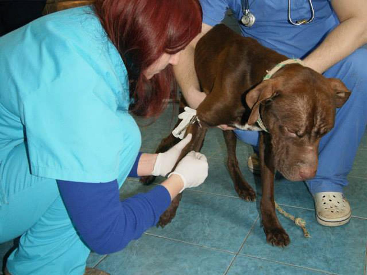 Nie jadłem przez 3 miesiące