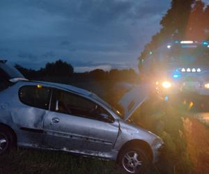 Peugeot w rowie – gmina Braniewo