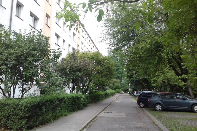 Kto puszcza dźwięki drapieżnych ptaków na jednym z krakowskich osiedli?