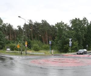 Wytną drzewa żeby zrobić Park Aktywności Rodzinnej. Mieszkańcy Wawra wściekli