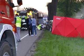 Tragiczny wypadek na DK 22. BMW uderzyło w drzewo. Kierowca chciał uniknąć zderzenia z sarną. Zginął 29-latek [ZDJĘCIA]