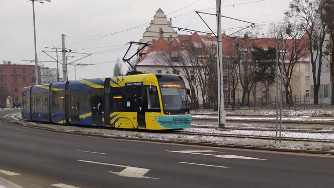 Toruńska komunikacja miejska za darmo dla uchodźców z Ukrainy