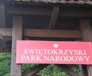 Dojazd na Święty Krzyż