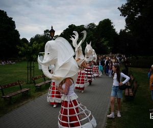 Impreza Wianki nad Krzną odyła się w Łukowie już po raz siódmy
