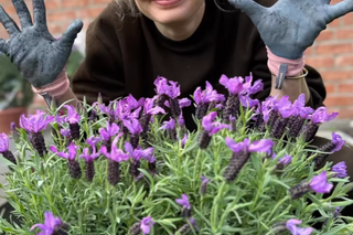 Małgorzata Socha wiosenne porządki w ogródku