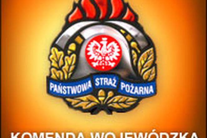 www.straz.gda.pl