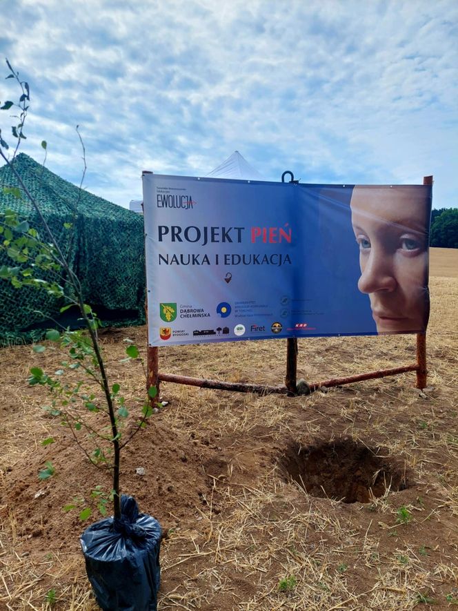 W Pniu pod Bydgsozczą znaleziono nietypowy grób niemowlęcia z XVII w. Ktoś włoźył tam ozdobę w kształcie kwiatka