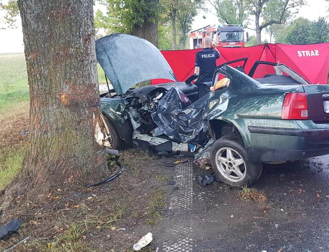 Osierociła 3-letniego synka. Zginęła, jadąc do pracy