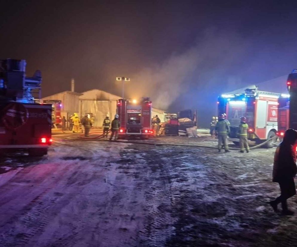 Pożar kurnika w Gostchorzy. Spłonęło ponad 35 tys. kurcząt