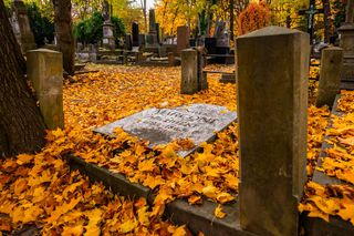 Na Starych Powązkach spoczywa około  miliona osób, w tym wybitni architekci i budowniczowie. Jak wyglądają ich groby?