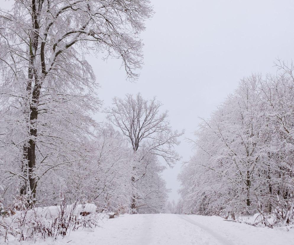 Pierwszy śnieg w Polsce. Mieszkańcy tego regionu mogą obudzić się z białym widokiem za oknem